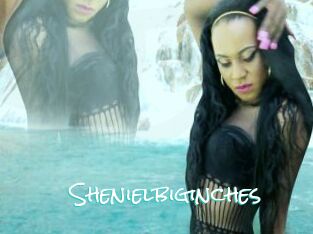 Shenielbiginches