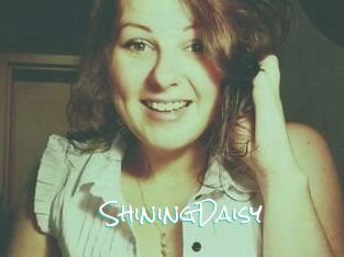 ShiningDaisy