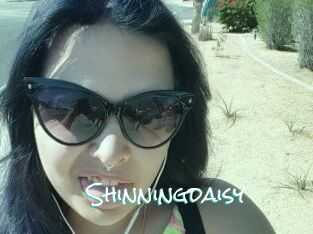 Shinningdaisy