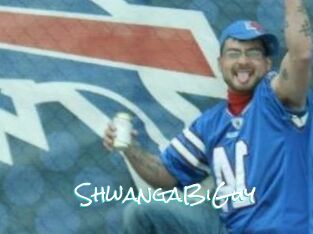 ShwangaBiGuy