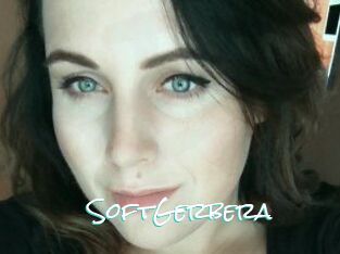 SoftGerbera