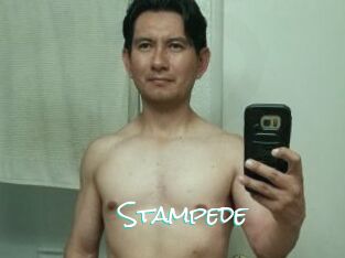 Stampede