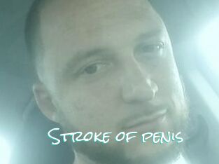 Stroke_of_penis