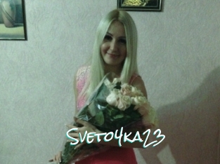 Sveto4ka23