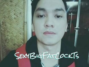 _SexyBigFatCockTs_