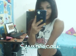 Sammbigcock