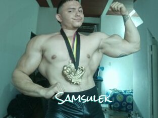 Samsulek