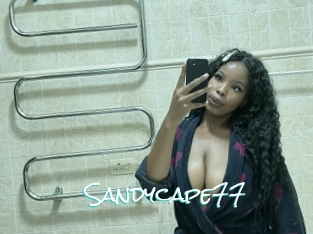 Sandycape77