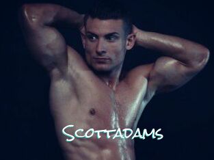 Scottadams