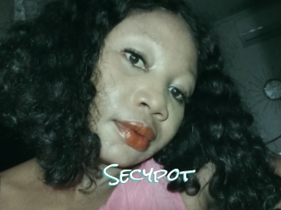 Secypot