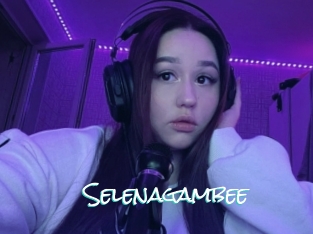 Selenagambee