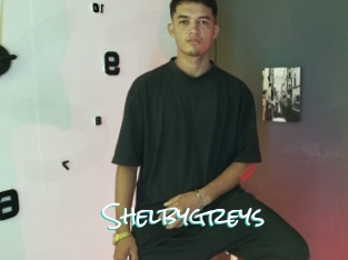 Shelbygreys