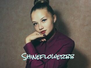 Shineflowerbb