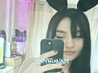 Shybunny
