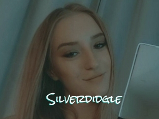 Silverdidgle