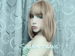Soary_trans