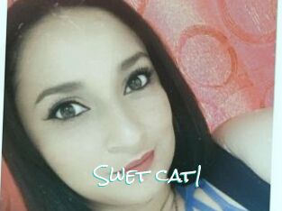 Swet_cat1