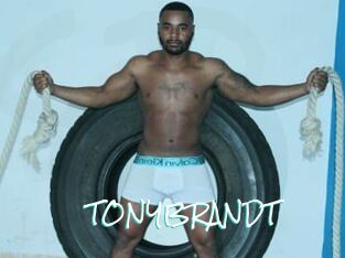 TONYBRANDT
