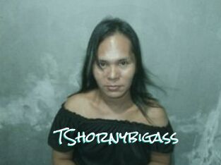 TShornybigass