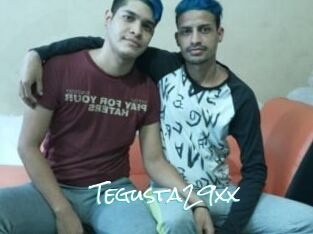 Tegusta29xx