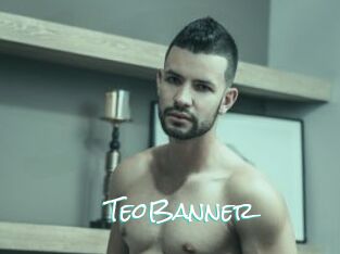 TeoBanner