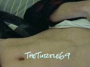 TheTurtle69