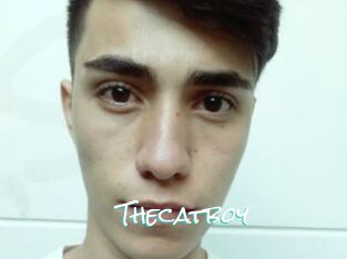 Thecatboy