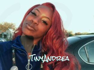 TinyAndrea