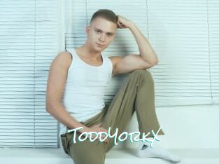 ToddYorkX