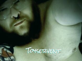 Toyservent