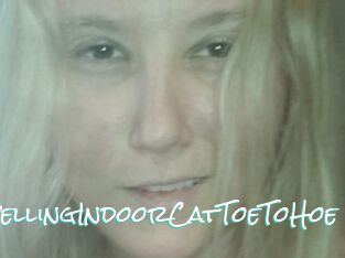 TravellingIndoorCatToeToHoe