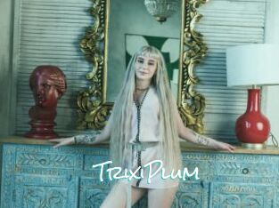 TrixiPlum