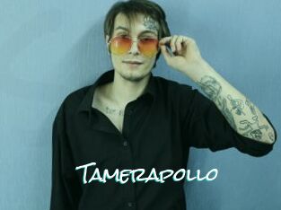 Tamerapollo