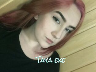 Taya_exe