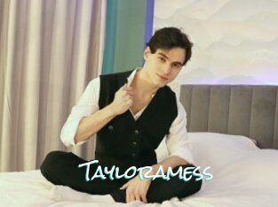 Tayloramess