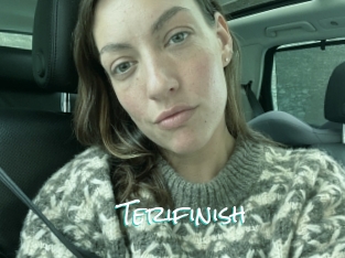 Terifinish