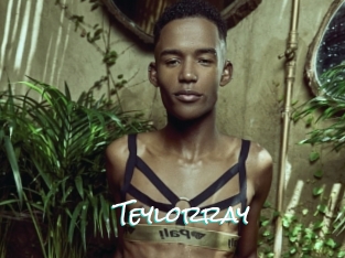 teylorray Sensuality Dream