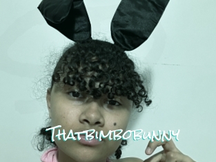 Thatbimbobunny