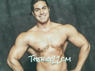 Thebig22cm