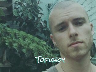 Tofu_boy