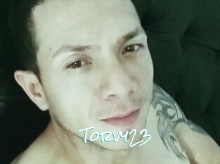 Torvy23