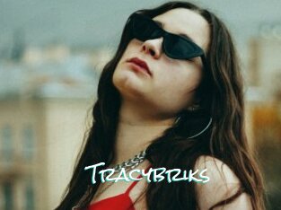 Tracybriks