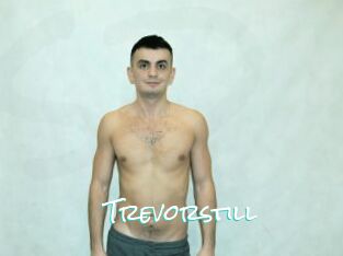 Trevorstill