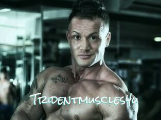 Tridentmuscles4u