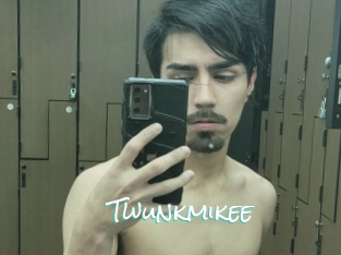 Twunkmikee