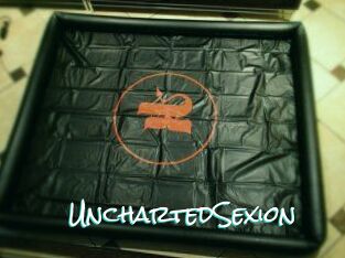UnchartedSexion