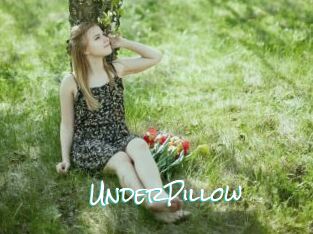 UnderPillow