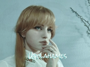 Udelahames