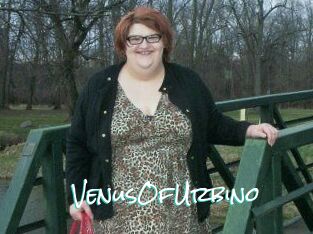VenusOfUrbino