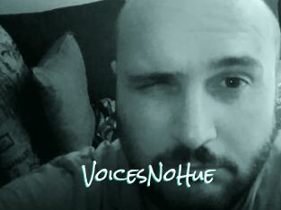 VoicesNoHue